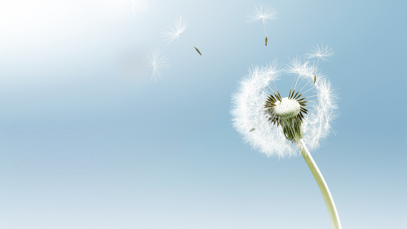 ÌÚ²©¹ÙÍø-³ÏÐÅΪ±¾,רҵ·þÎñ!